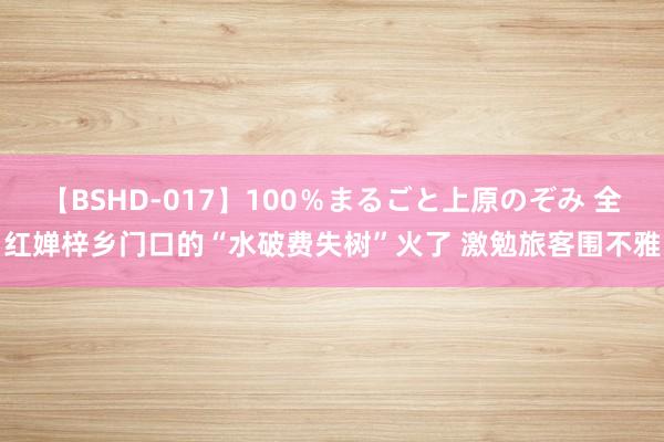 【BSHD-017】100％まるごと上原のぞみ 全红婵梓乡门口的“水破费失树”火了 激勉旅客围不雅